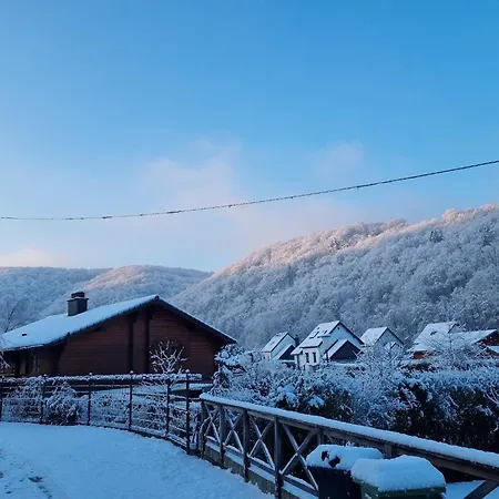 Near Ardennes Forest Chalet